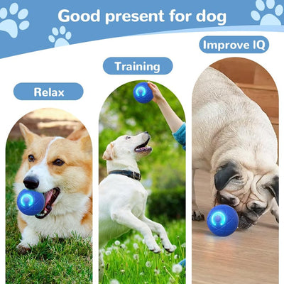 Interactive Dog Ball, 2025 New Activated Automatic Rolling Ball for Dog, Self Moving Vibrating Smart Jumping Automatic Moving Bouncing and Rotating Balls for Pets (Blue)