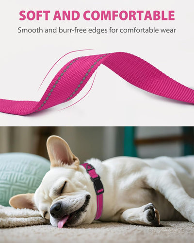 Small Dog Collar, Reflective and Adjustable Nylon Collar with Quick-Release Buckle, Lightweight No-Choke Design for Small Dogs, Hotpink, 5/8" Width
