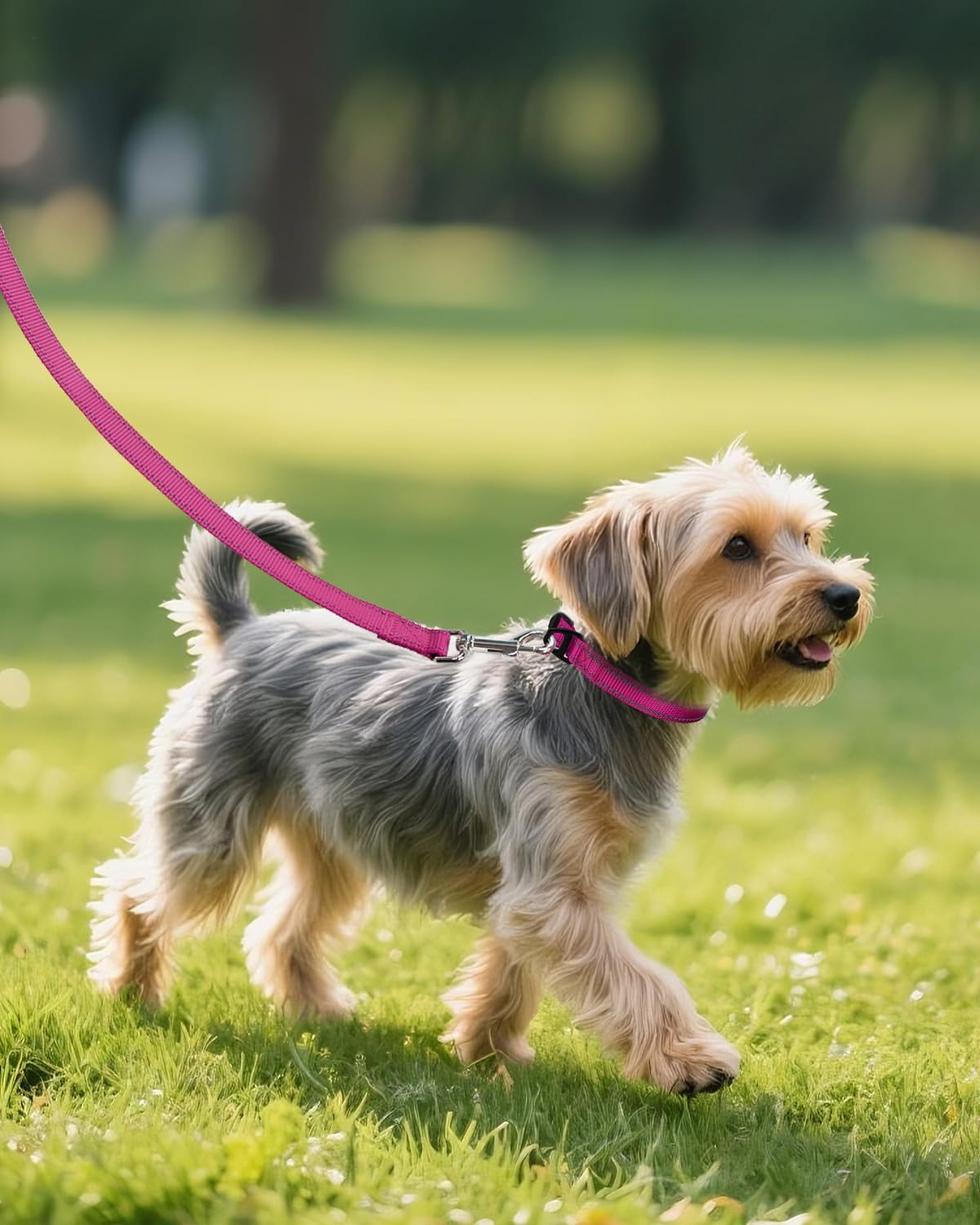 Small Dog Collar, Reflective and Adjustable Nylon Collar with Quick-Release Buckle, Lightweight No-Choke Design for Small Dogs, Hotpink, 5/8" Width