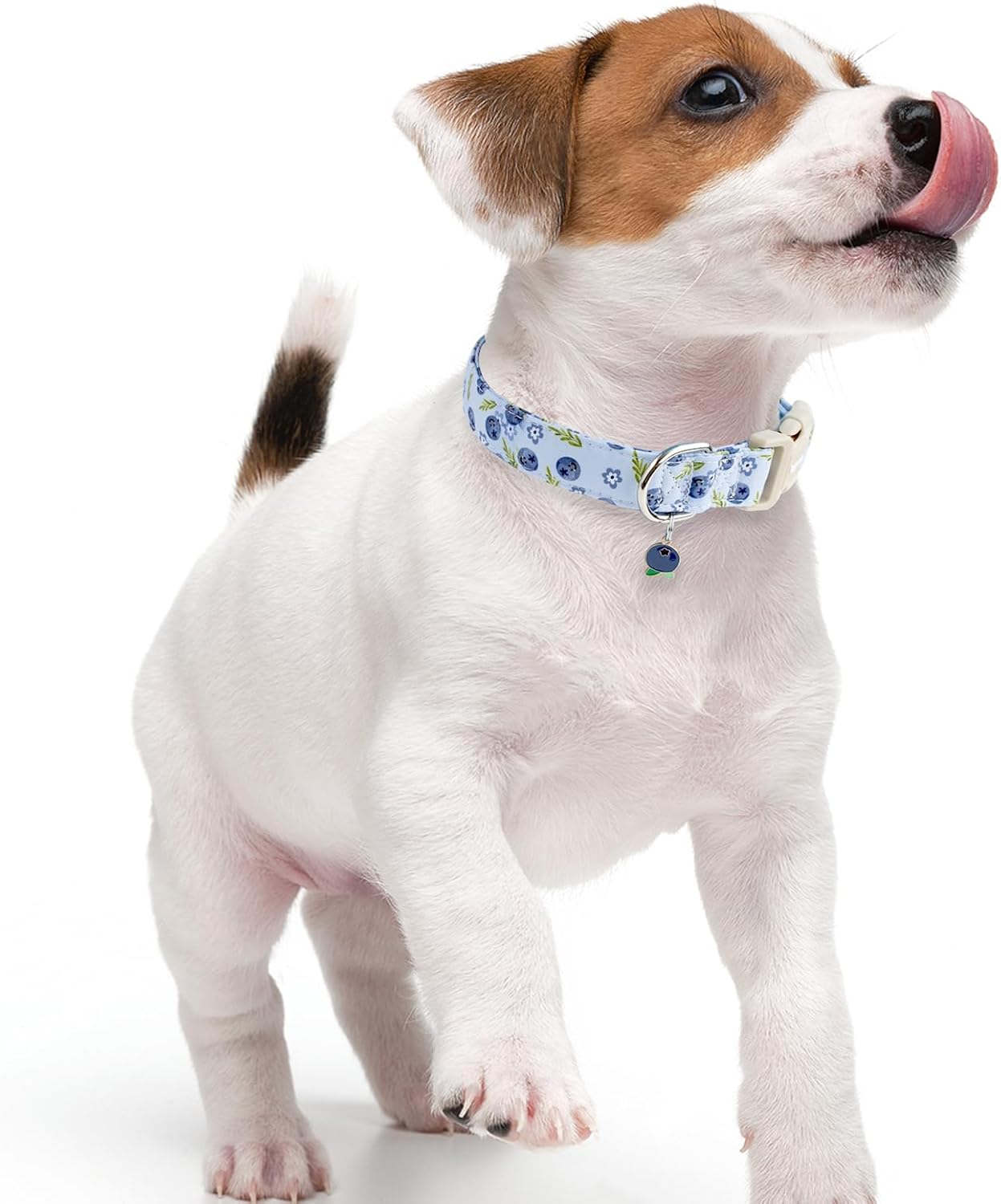Blueberry Pattern Dog Collar for for Summer Small Medium Large Dogs Light Blue M
