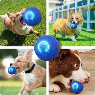 Interactive Dog Ball, 2025 New Activated Automatic Rolling Ball for Dog, Self Moving Vibrating Smart Jumping Automatic Moving Bouncing and Rotating Balls for Pets (Blue)